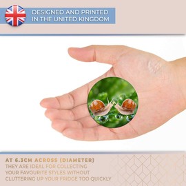 Destination Vinyl ltd Magnet for Refrigerator, Fridge - Kissing Snails Cute Kiss Snail for Office, Cabinet and Whiteboard, Magnetic Stickers, 8256