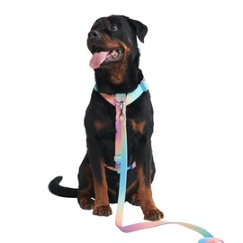 No-Pull Dog Harness - Designed for Safety and Control, Ideal for Large, Strong Breeds - Pitbulls, Boxers - Pastel Icing - L