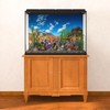 MIRRORANG 120x46cm Reptile Habitat Background Blue Sky Oasis Cactus Desert