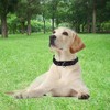 Reflective Martingale Collar with Metal Quick Release Buckle