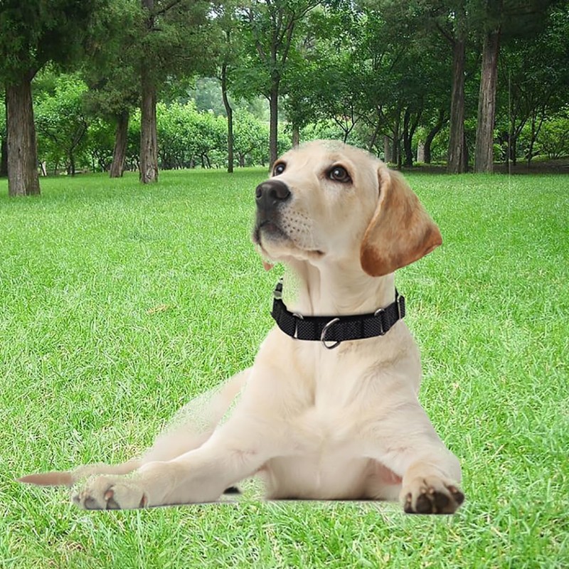 Reflective Martingale Collar with Metal Quick Release Buckle