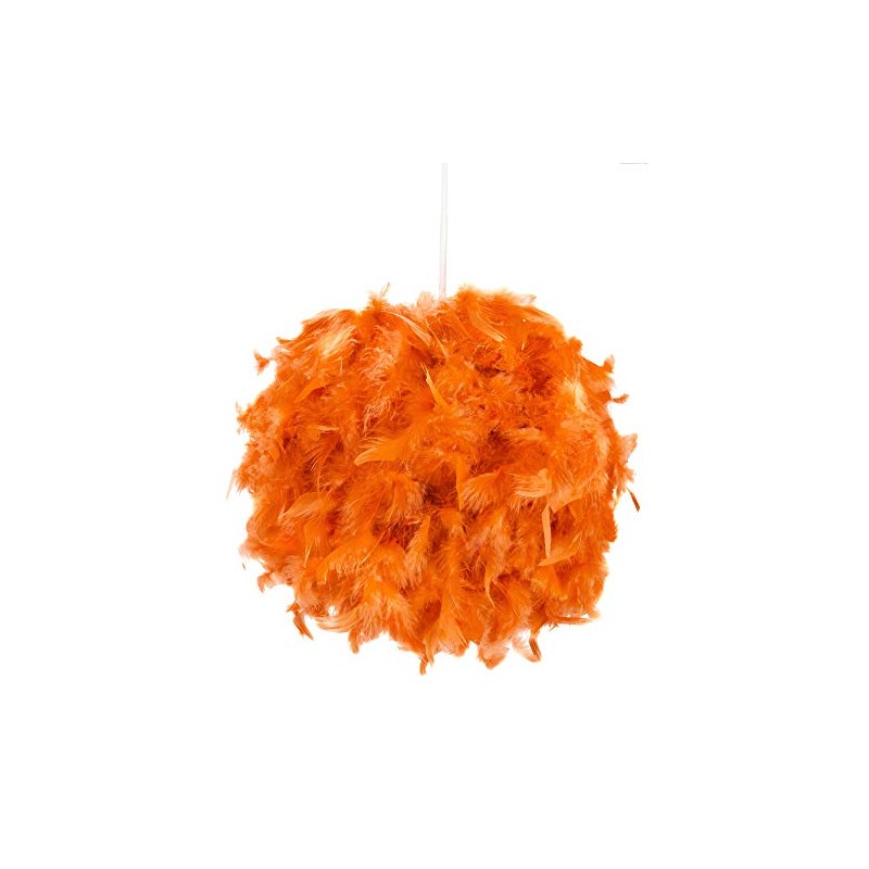 Eye-Catching and Modern Real Natural Vibrant Orange Feather Decorated Small