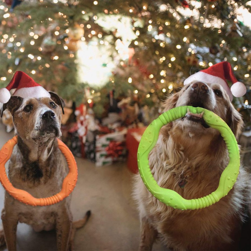 LaRoo Dog Flying Ring Toys, Floating Flying Disc ABS Durable