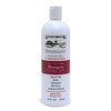Pack of 1 x Stony Brook Shampoo Unscented - 16