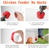 Chicken Feeders No Waste Automatic Chicken Feeder DIY Automatic Poultry