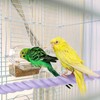 M METERXITY 2-Pack Rope Perches for Bird Cages, 23.6 in