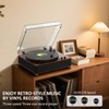 DANFI Audio Record Player Turntable with Full-Sized Platter & Built-in