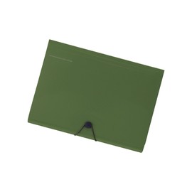 Lihit Lab A7588-22 Carrying Document Smart Fit A5 6 Pocket Olive
