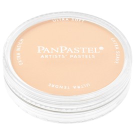 パンパステル オレンジ ティント 22808