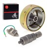 Magneto Rotor Flywheel & Removal Puller tool & Regulator For