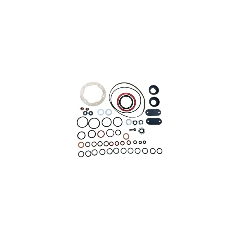Stanadyne Roosa Diesel Injection Pump Kit 24371 ( OEM STANADYNE