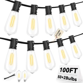 Hobbynors ST40 LED Outdoor String Lights 100FT with 50+2 Bulbs, E17 Socket, 0.6W, 2700K Warm White–Connectable for Garden, Backyard, Bistro, Patio, Porch, Deck, Gazebo, Party Decor