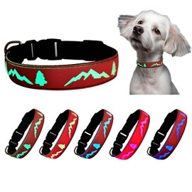 DOGLED LED Dog Collar, 15 Light Modes, USB-C Rechargeable, Silicone Material, Adjustable Size, (RED, S(7.87-11.8"))