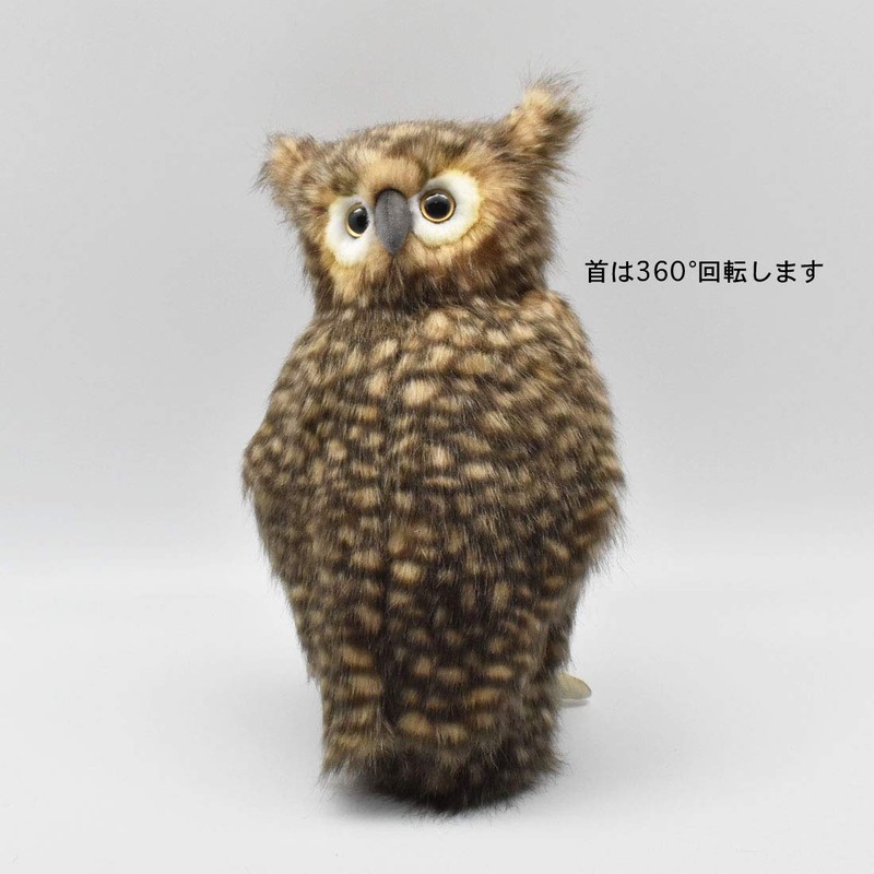 Owl No. 4466 