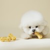 Fitpet Itchu Honey Gold Soft Dog Dental Chews 34 Count