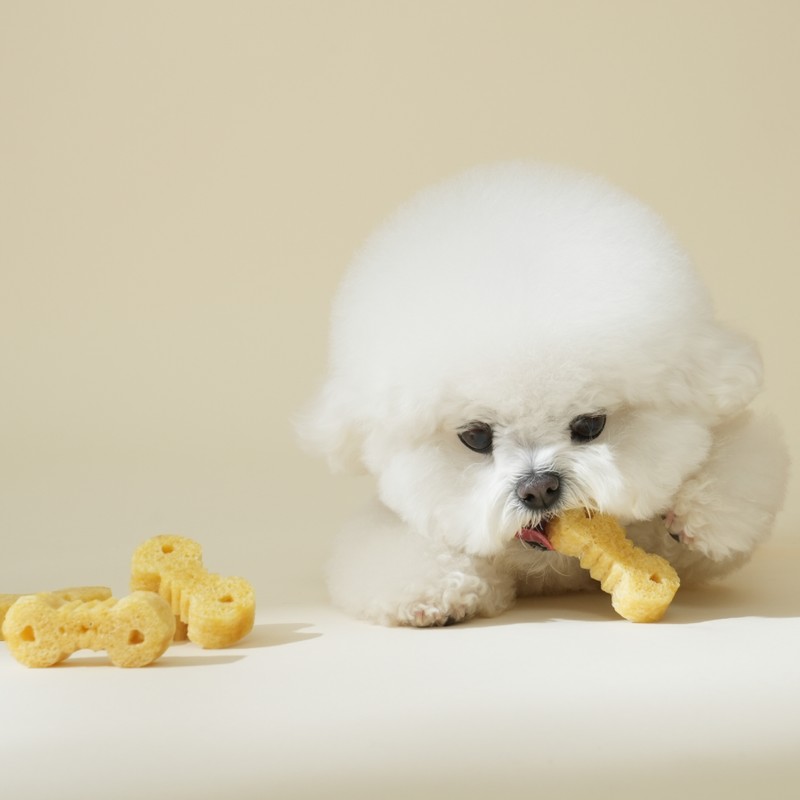 Fitpet Itchu Honey Gold Soft Dog Dental Chews 34 Count