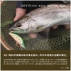 Shimano ZN-245X 010 S Grikin Trout Lure Cardiff Refrain 45XS