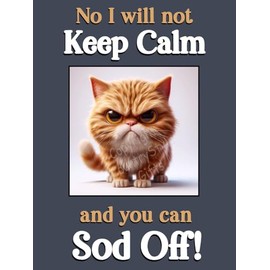 Generic Ginger Cat Kitten funny flexible fridge magnet gift