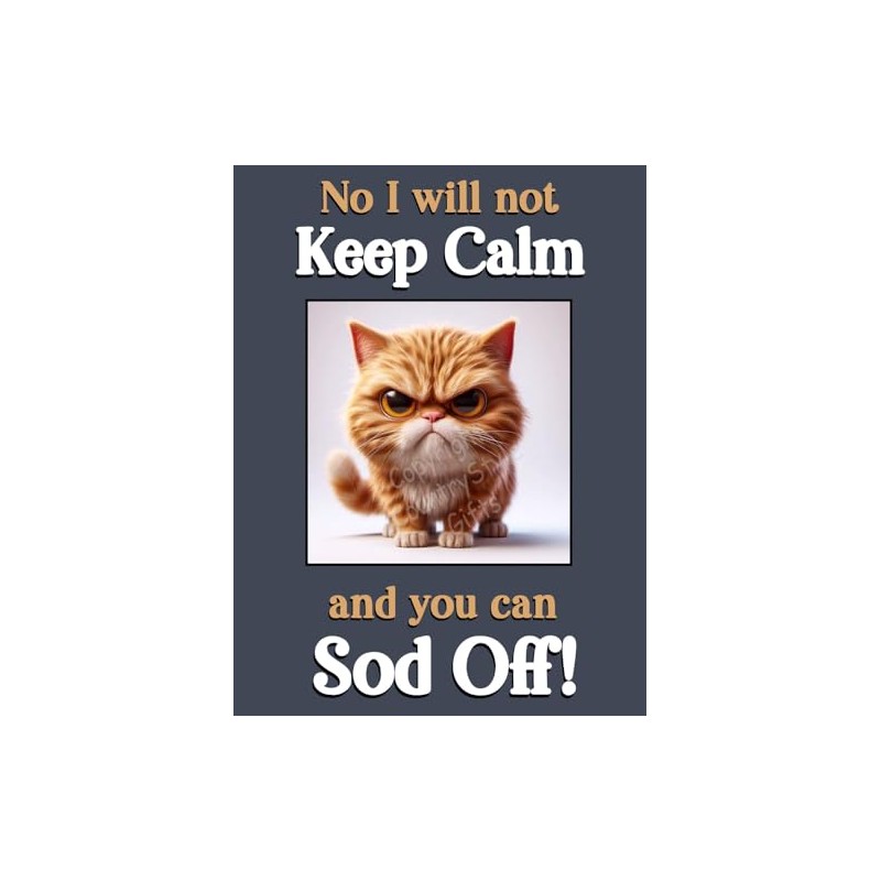 Generic Ginger Cat Kitten funny flexible fridge magnet gift