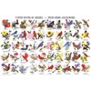 State Birds & Flowers Poster