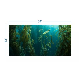 Unbranded Kelp Forest - "Not Peel and Stick" Aquarium Background AQB0051 - 24" x 12"