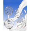 Luvilly 6PCS Stainless Steel Blender Balls for Protein Shaker Bottles,Mixer