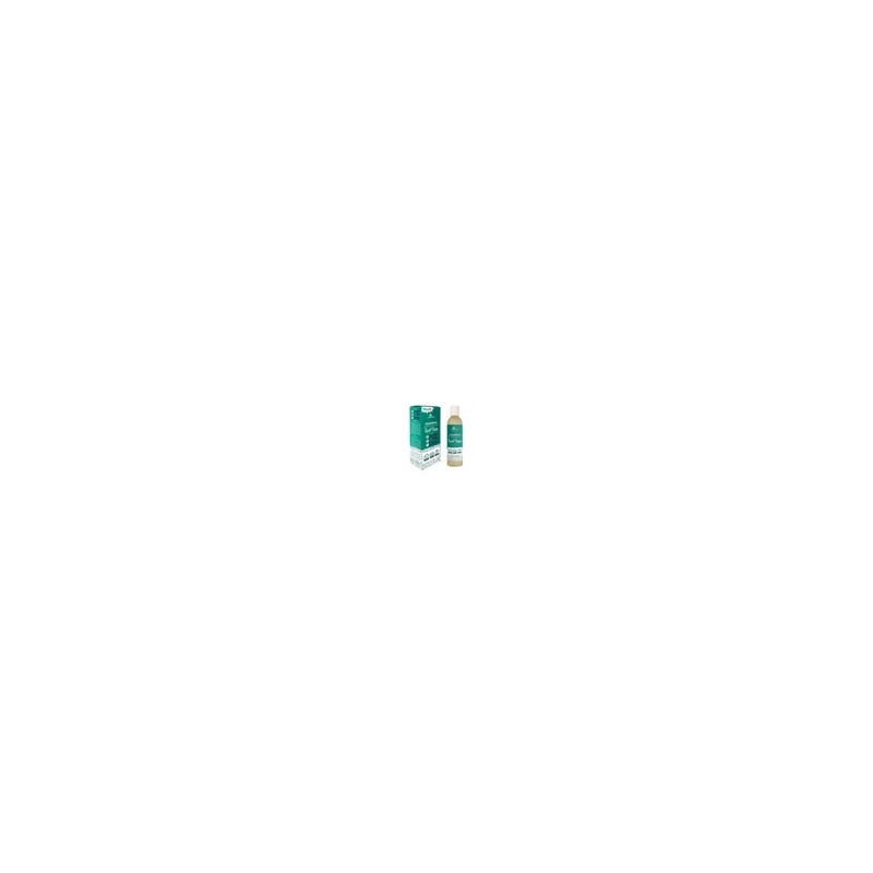 Shampoo con Tea Tree | Con Aceite de TEA TREE