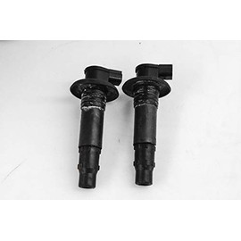 Sea-Doo New OEM Ignition Coil Kit, 296000307