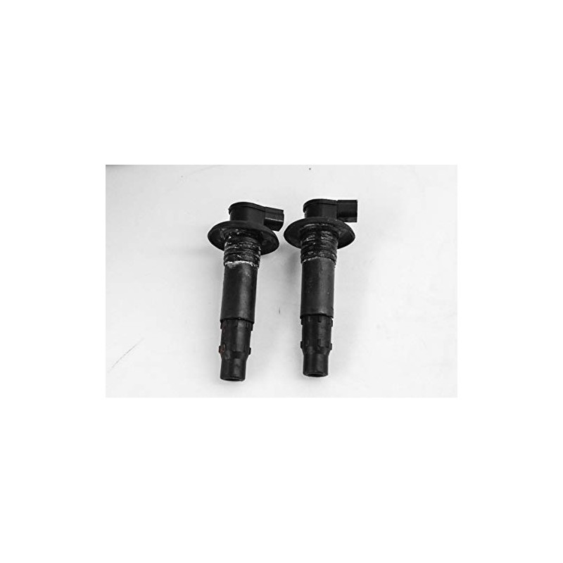Sea-Doo New OEM Ignition Coil Kit, 296000307