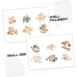 BIUDECO Nail Decoration Nail Decals Nail Art Shell 1 Box Nail Art Sequins Accessories Japanese-style Decorations 3d Shell Pieces Nail Charms