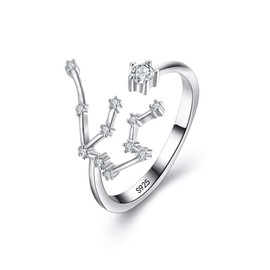 Clearine Women's Ring 925 Sterling Silver CZ Horoscope Zodiac 12 Constellation Astrology Adjustable Statement Ring Birthday Gift, Sterling Silver Cubic Zirconia, Cubic Zirconia