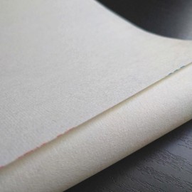Water Lilies Half-Cut (13.6 x 54.4 inches (34.5 x 138 cm), Painting Paper Produced in Anhui Province, China Directly Shipped from Production Plant (20 Sheets)