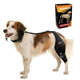 CHAMIN Adjustable Dog Knee Brace for Torn ACL Hind Leg, Support for Tear Ligament, Osteoarthritis, Rear Leg Limp, Recovery After Surgery,et(Left Leg,M)