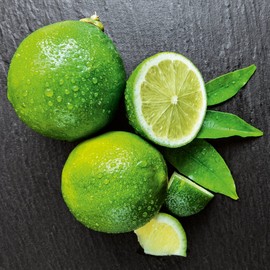 Eurographics 20 x 20 cm, DG-DC1271 Lime on Black Glass Picture, Glass, Green, 20 x 20 x 1.7 cm, 20 x 20 x 1.7 cm