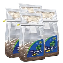 Exhale Homegrown CO2 365 - Self-Activated Bag 2/ Hanger & Twin Canaries Chart for Grow Rooms & Tents - Great for Indoor Grow Rooms - CO2 for Grow Tents - 4lbs. (4 Pack)