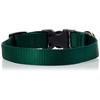 LupinePet Basics 3/4" Green 9-14" Adjustable Collar for Small Dogs