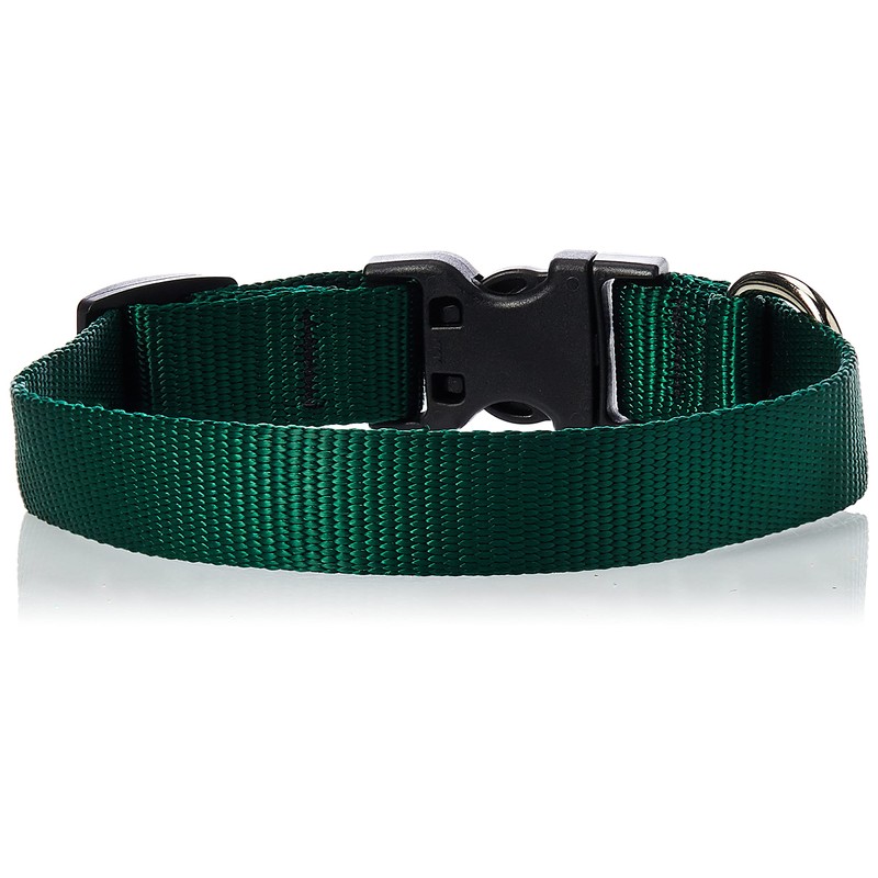 LupinePet Basics 3/4" Green 9-14" Adjustable Collar for Small Dogs