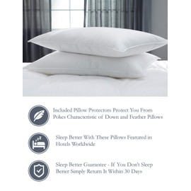 Pacific Coast Touch of Down Queen Size 2-Pillow Set with 2 Queen Size Pillowtex Pillow Protectors