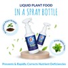 FOOP Mist - Organic Foliar Spray Made from Fish Manure