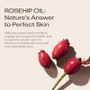 Trilogy Certified Organic Rosehip Oil Unisex, 1.52 Ounces