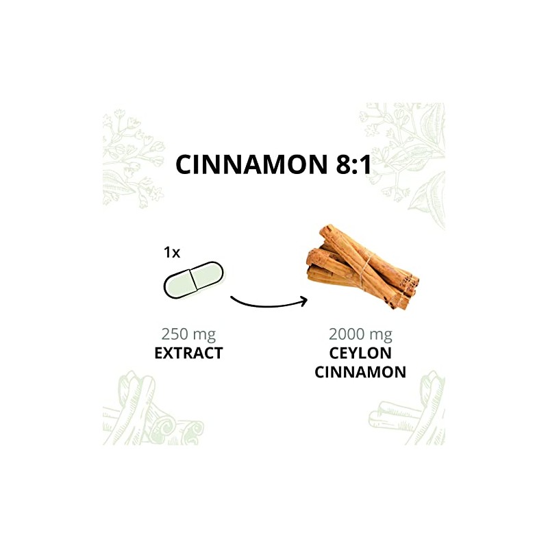 Ceylon Cinnamon 2000mg Vegavero® | High Strength Extract (8:1) |
