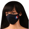 Touchstone Kids French Flag embroidered 3 layer cotton face masks