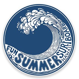 2 x Hawaii Wave Surf Board Sticker Car Bike Laptop Decal Surfer Summer Fun #9217 (10cm Wide x 10cm High)