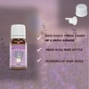 Aroma Depot Essential Oil 10ml Lavender Scented Oil I Premium