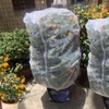 Agfabric Bird Netting 26" Hx30 W Garden Netting Insect Pest