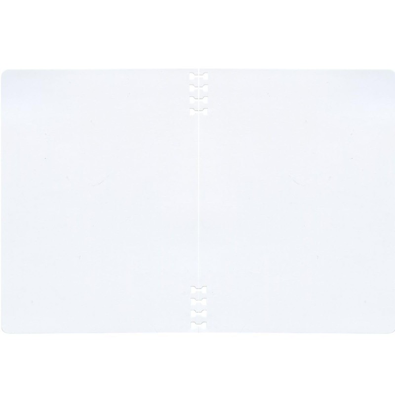 Delphonics Traveling Rolburn/Rolburn Flexible Refills, Plain, Assorted A5