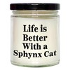 Sphynx Cat Scented Candle Gifts for Father's Day | Funny