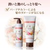 Yamada Apiary Honey Aroma Shampoo (Glossy, Rose), 6.8 fl oz
