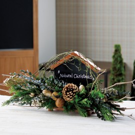 Daichi Farm DO021020-912 Dried Flowers, Star Anise, Silver, Approx. 1.2 inches (3.0 cm), 1.2 oz (35 g)