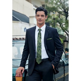 HISDERN Ties for Men Paisley Floral Tie Handkerchief Classic Woven Business Formal Necktie and Pocket Square Set Wedding, D1-green8, One Size